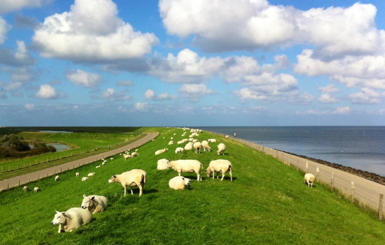 Jagershuistexel Bed and Breakfast Oosterend  Esterno foto