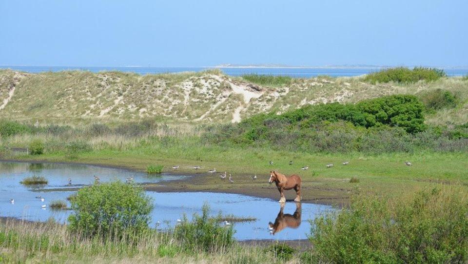 Jagershuistexel Bed and Breakfast Oosterend  Esterno foto